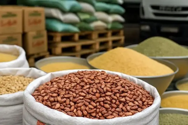 لوبیا چیتی با چه قیمتی عرضه می‌شود؟/ نرخ امروز