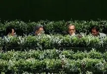 ایران در جام جهانی صعود کند، کشور یک روز تعطیل می شود