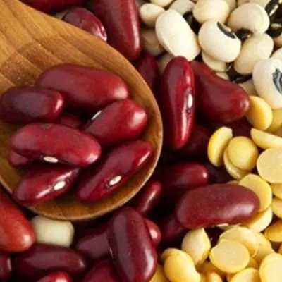 شوک قیمت به سفره ایرانی‌ها / لوبیا قرمز به ۵۰۰ هزار تومان رسید