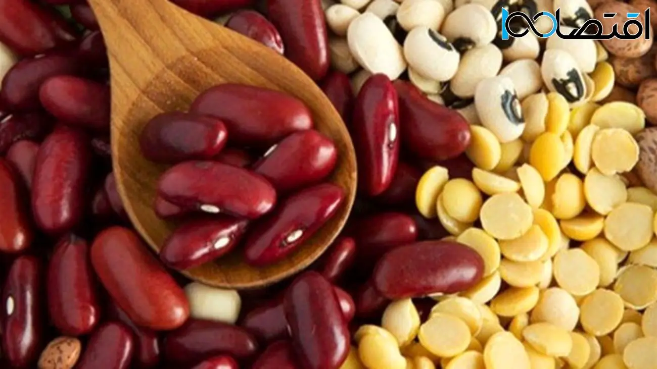 شوک قیمت به سفره ایرانیها / لوبیا قرمز به ۵۰۰ هزار تومان رسید