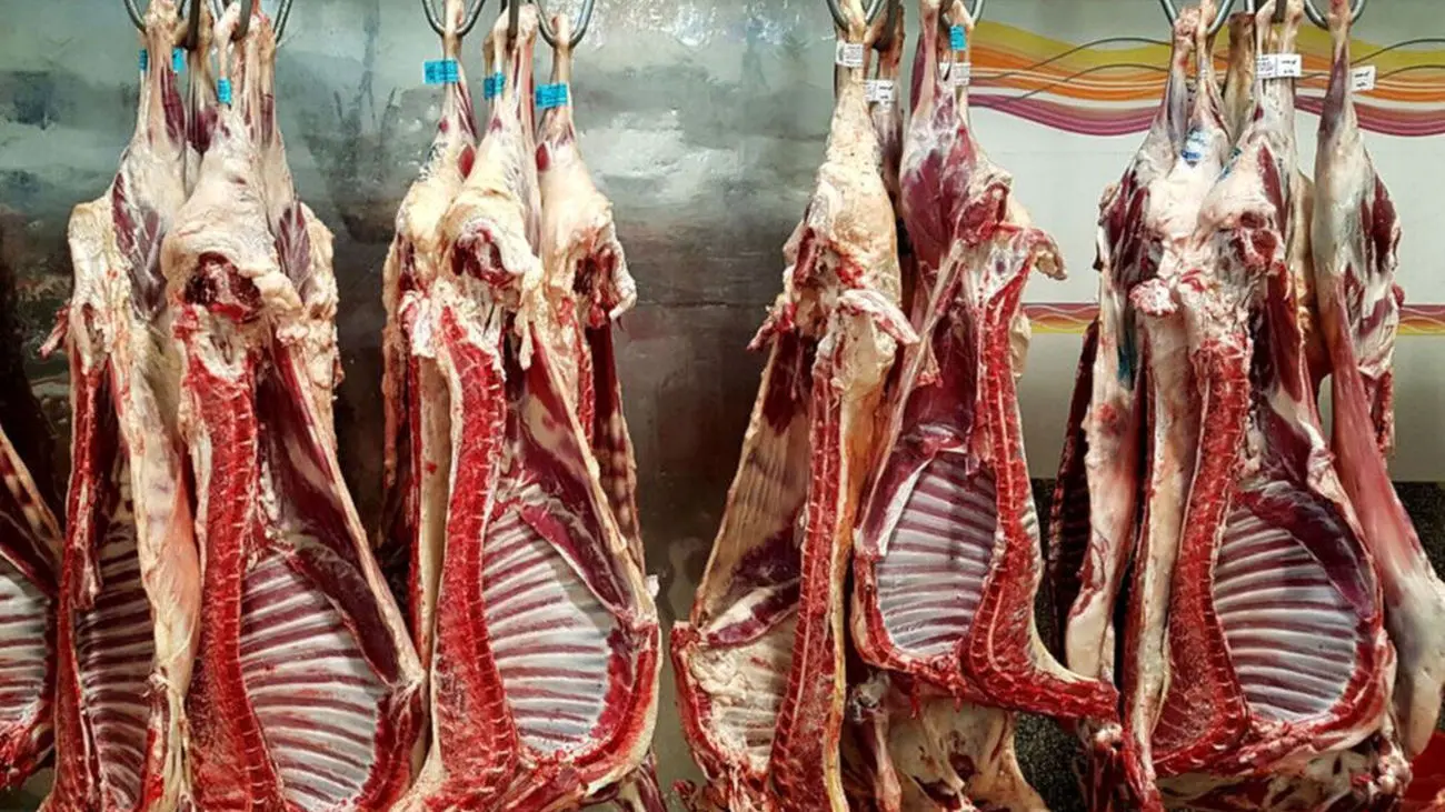  80 درصد گوشت گوساله وارداتی به دست مردم نمی رسد !