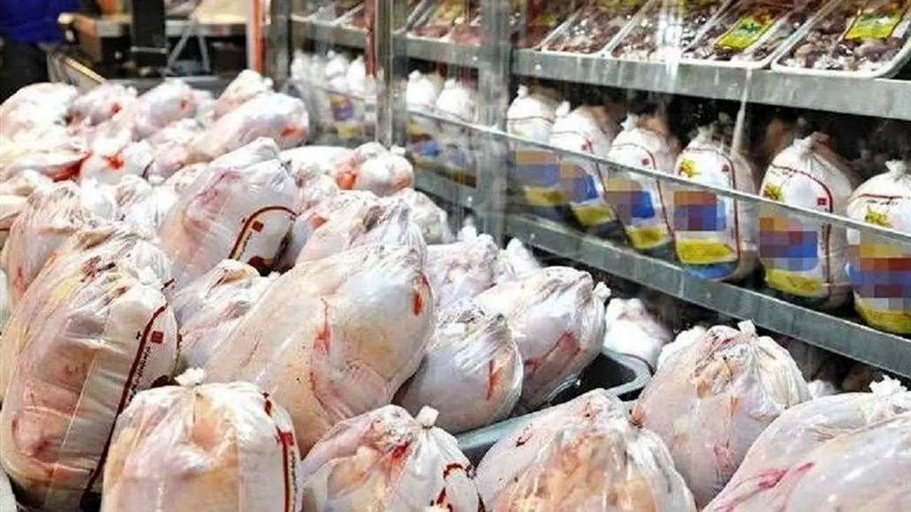 تلاش مجدد وزارت جهاد کشاورزی برای کنترل بازار مرغ / ارزانی ممکن است؟