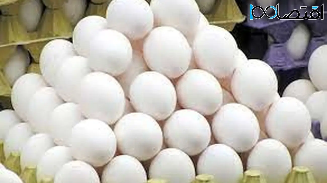 گرمای هوا تخم‌مرغ را برای مردم ارزان کرد !