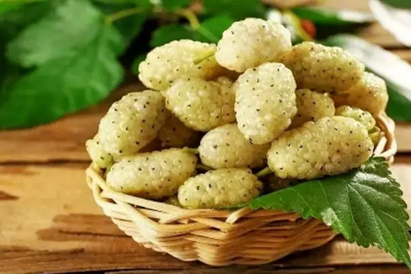 این میوه جادویی شما را از افسردگی دور می‌کند!