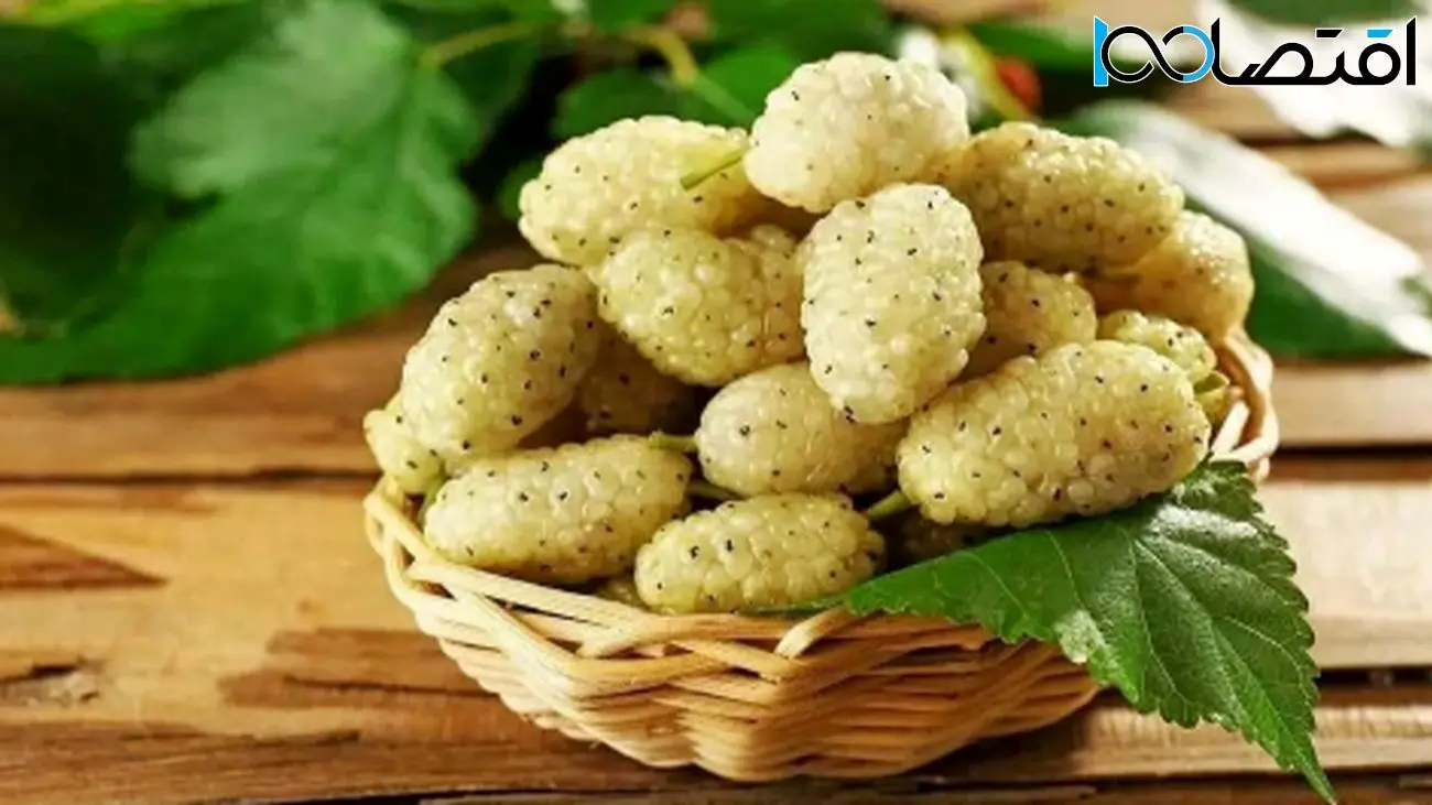 این میوه جادویی شما را از افسردگی دور میکند!
