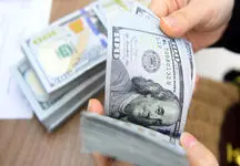 بهانه تراشی برای سیاست های دلاری دولت شروع شد
