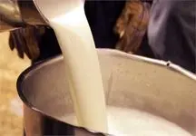 تعهد وزارت جهاد از دامداران