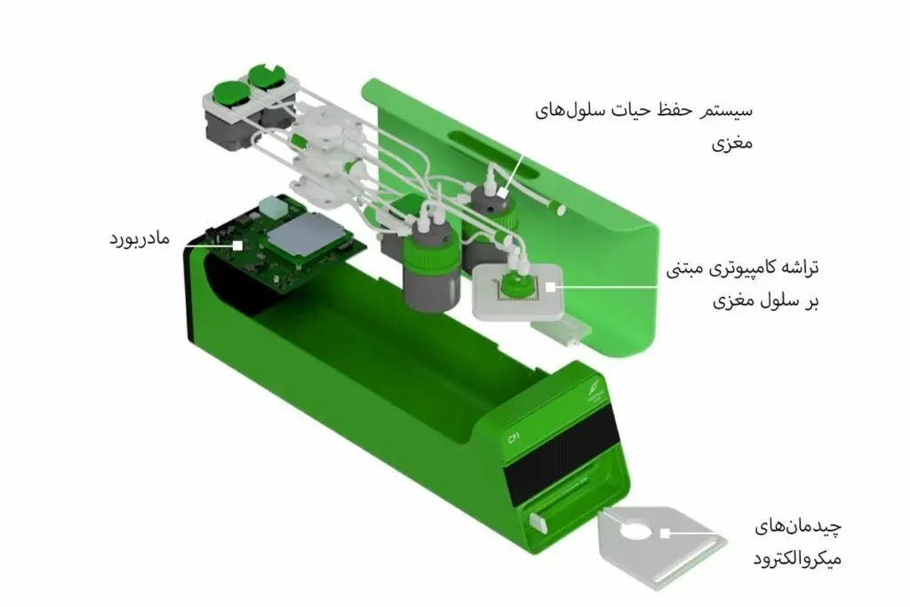 کامپیوتر زیستی کورتیکال لبز