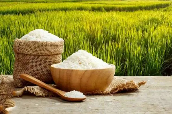 تحولات جدید بازار برنج/ آیا باید منتظر افزایش قیمت باشیم؟