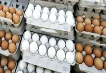 صعود قیمت تخم مرغ به قله تاریخ