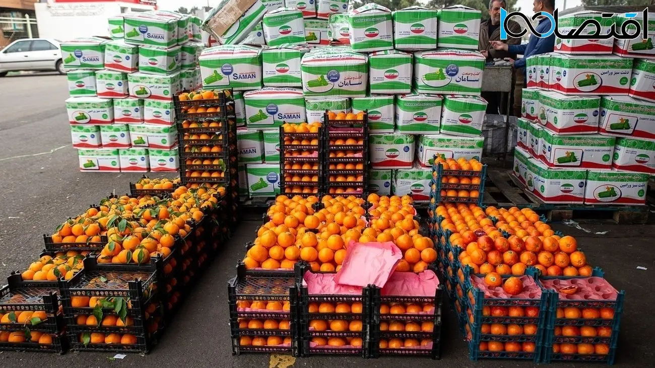 میوه شب عید 10 درصد کمتر از نرخ های بازار عرضه می شود