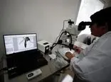 بیولوژیست‌ها پشه‌های بیماری‌زا را با انرژی اتمی عقیم‌ کردند
