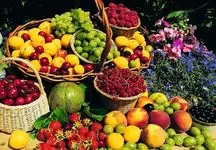 قیمت میوه در عید قربان تغییر نمی کند 