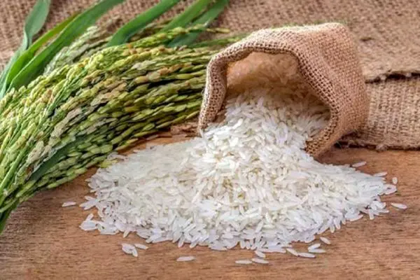 قیمت جدید برنج در بازار اعلام شد!
