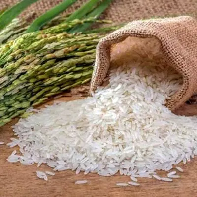 قیمت جدید برنج در بازار اعلام شد!