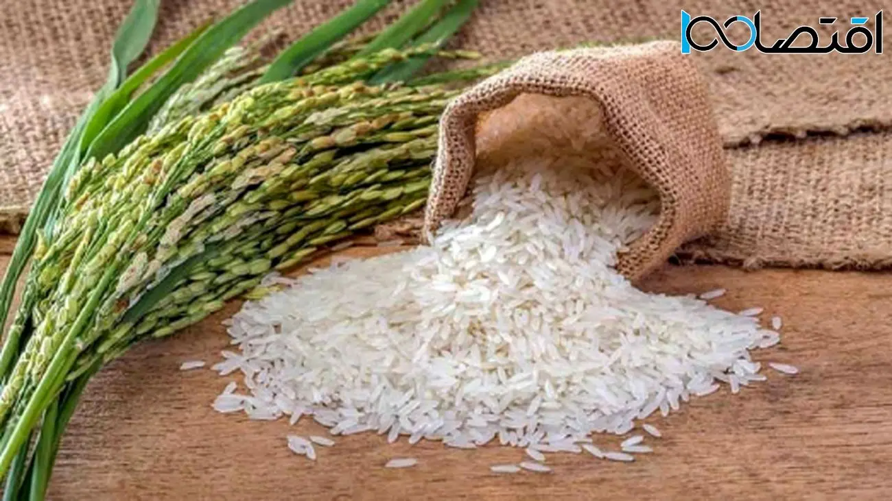 قیمت جدید برنج در بازار اعلام شد!