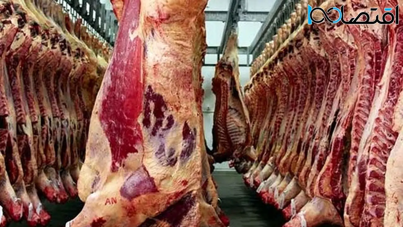 قیمت رسمی گوشت اعلام شد/ قیمت گوشت را بالاتر از این عدد دیدید، تخلف است 
