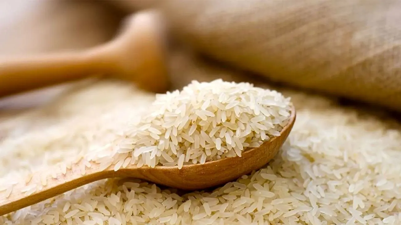 واردات برنج خارجی شروع شد