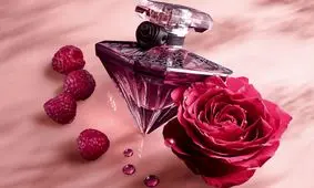 برای کلکسیون خود چند عطر داشته باشیم کافیه؟