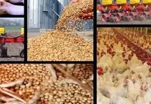 واردات فاجعه آمیز و غیرقابل باور نهاده های تراریخته کشاورزی