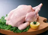 افزایش قیمت گوشت مرغ در یک هفته