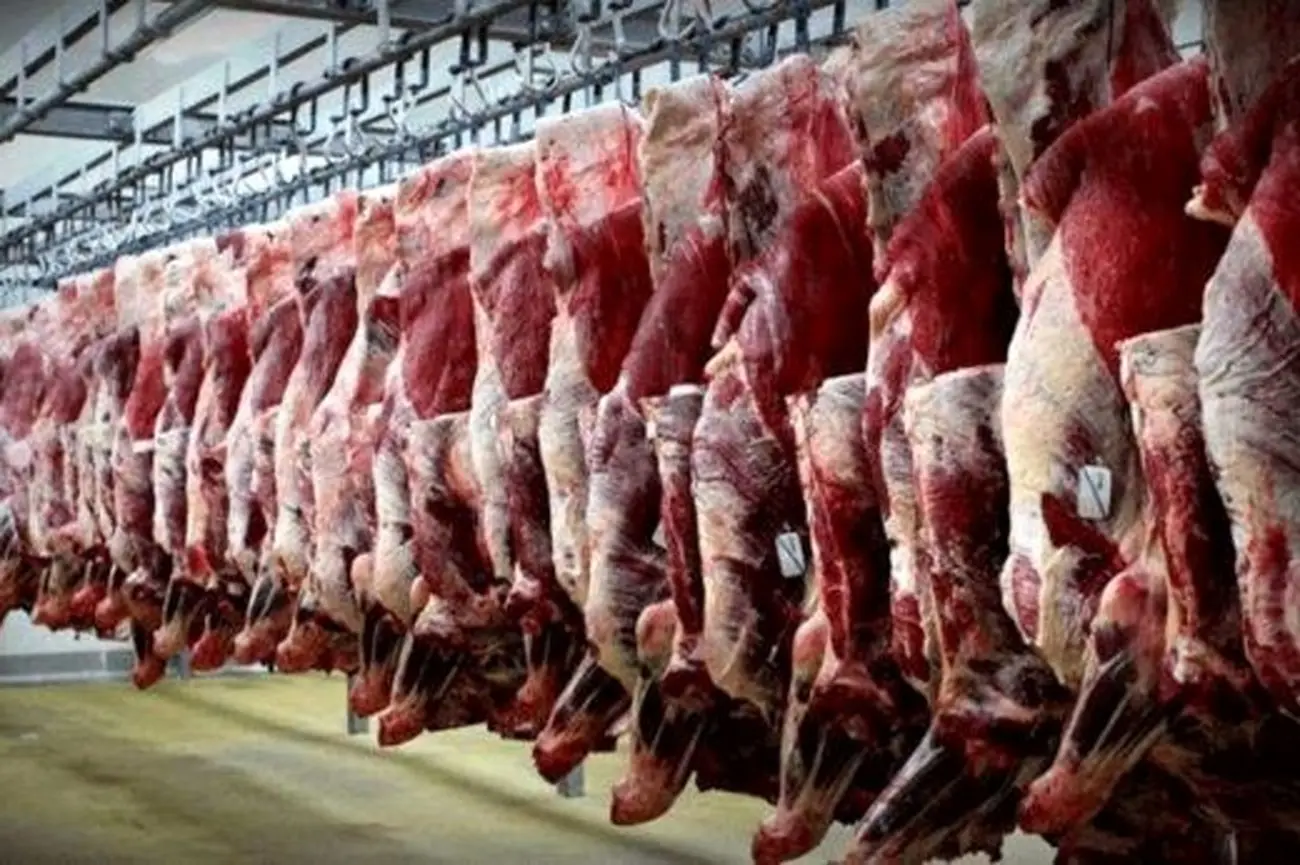 ریزش شدید قیمت لاشه گوسفندی / چرا دولت مقصر افزایش نجومی قیمت گوشت است؟
