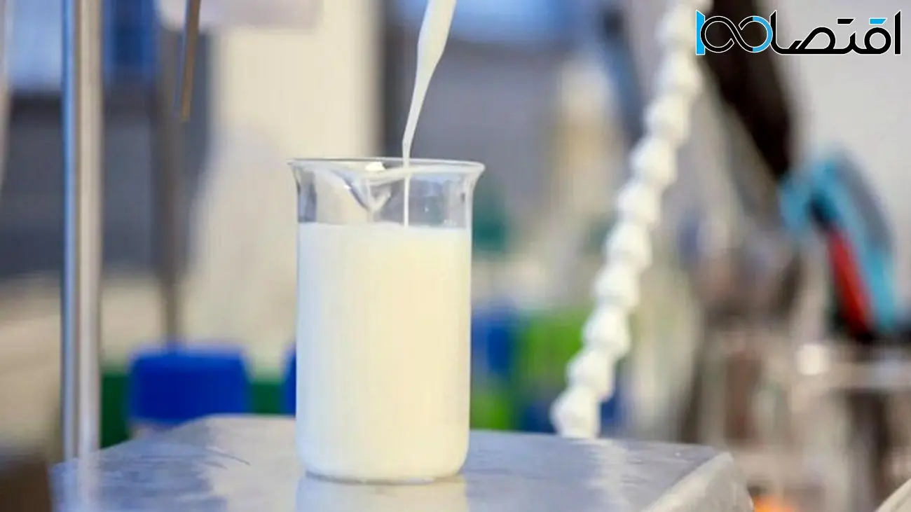 تولید شیر بدون نیاز به گاو