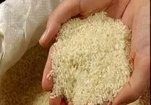۶۰ هزار تن برنج تقلبی وارد کشور شد + فیلم