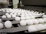تخم مرغ‌های ایرانی به این 5 کشور صادر می شود