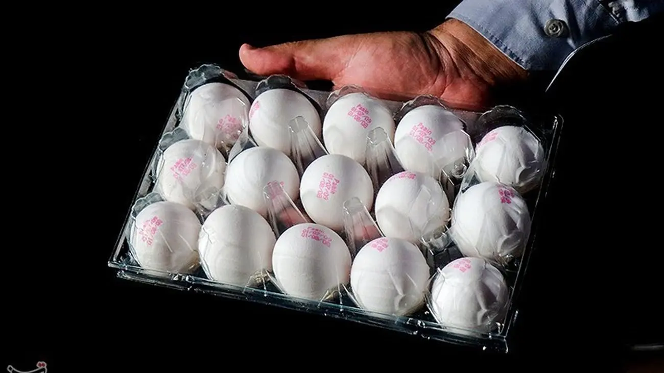 قیمت تخم‌مرغ بسته‌بندی‌شده مشخص شد