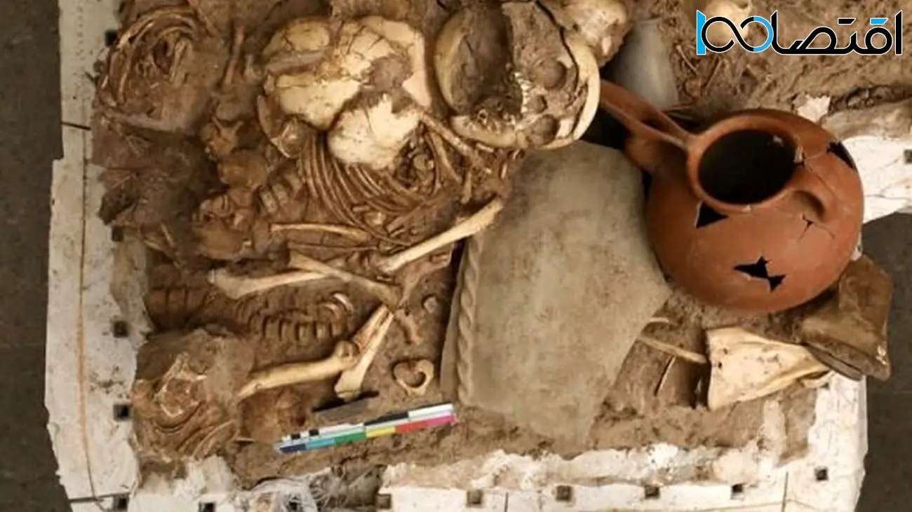 کشف اسکلت کودکان سه هزار ساله در قزوین + عکس