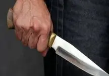 مرد ساکن تهران قبل از سفر به آمریکا زنش را کشت