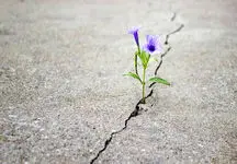 معنای زندگی واقعا چیست؟ / واقعا میدانید!