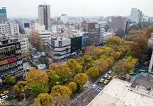 جدول قیمت آپارتمان در این محله پرفروش تهران / قابل توجه مستاجران !