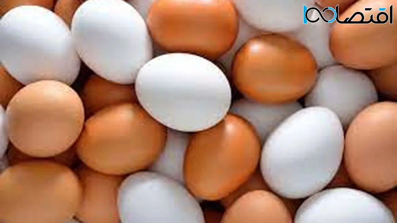 ارزانی یکباره قیمت تخم مرغ در بازار