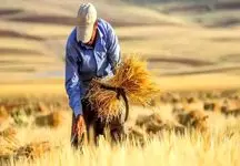 شرایط جدید برای بخشودگی دیرکرد وام‌های بانکی در حوادث طبیعی!