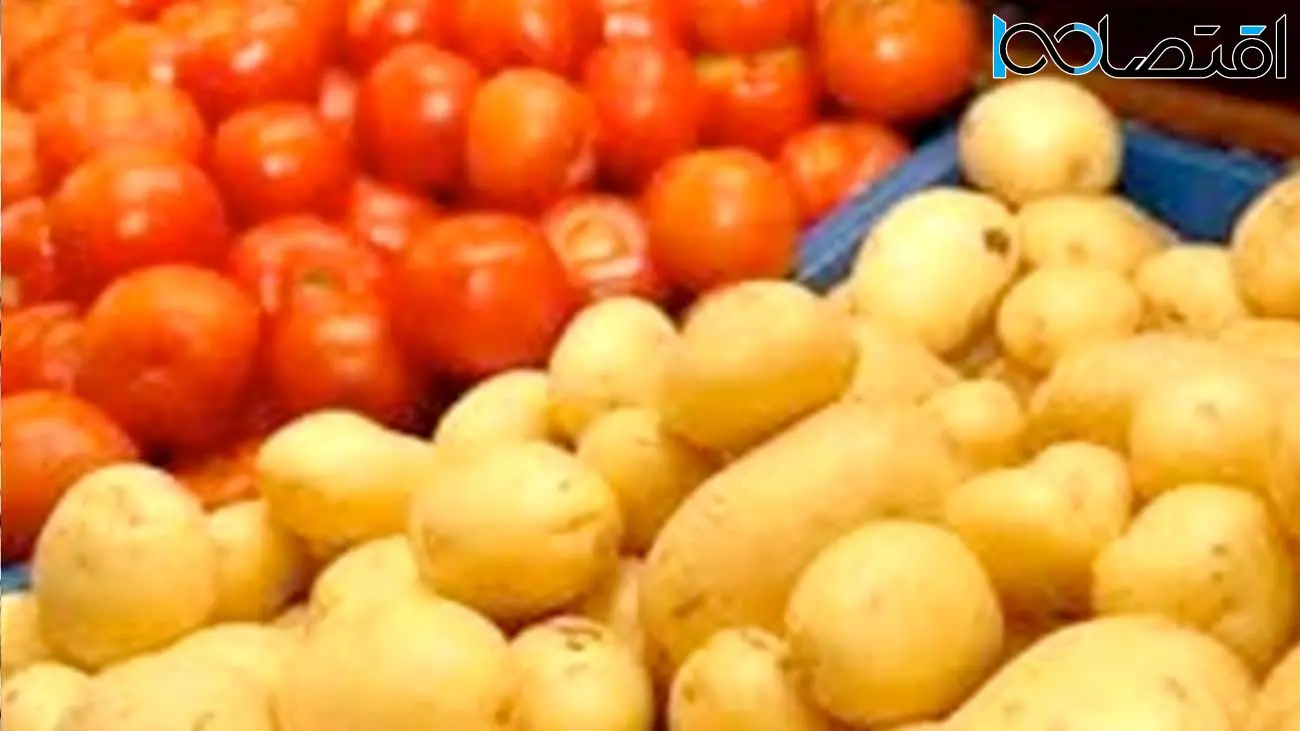 سیب زمینی و گوجه فرنگی ارزان شد