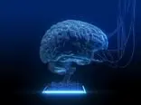 این استارتاپ هوش مصنوعی می‌خواهد با ساخت کامپیوترهای مبتنی بر سلول مغز، به انویدیا بعدی تبدیل شود