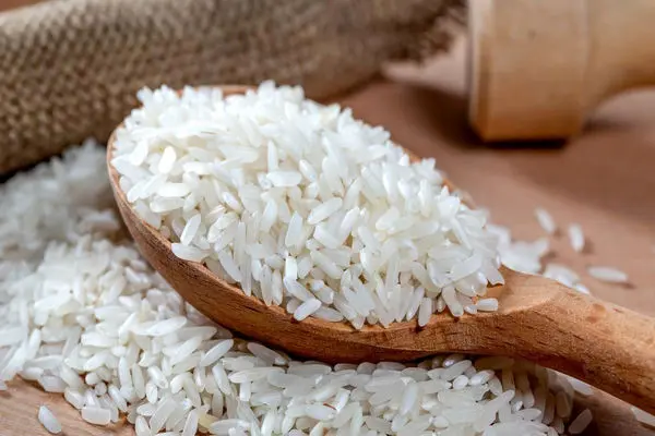 قیمت برنج ایرانی با مخ زمین خورد
