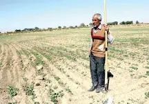 بار بخش کشاورزی روی دوش خدمات 