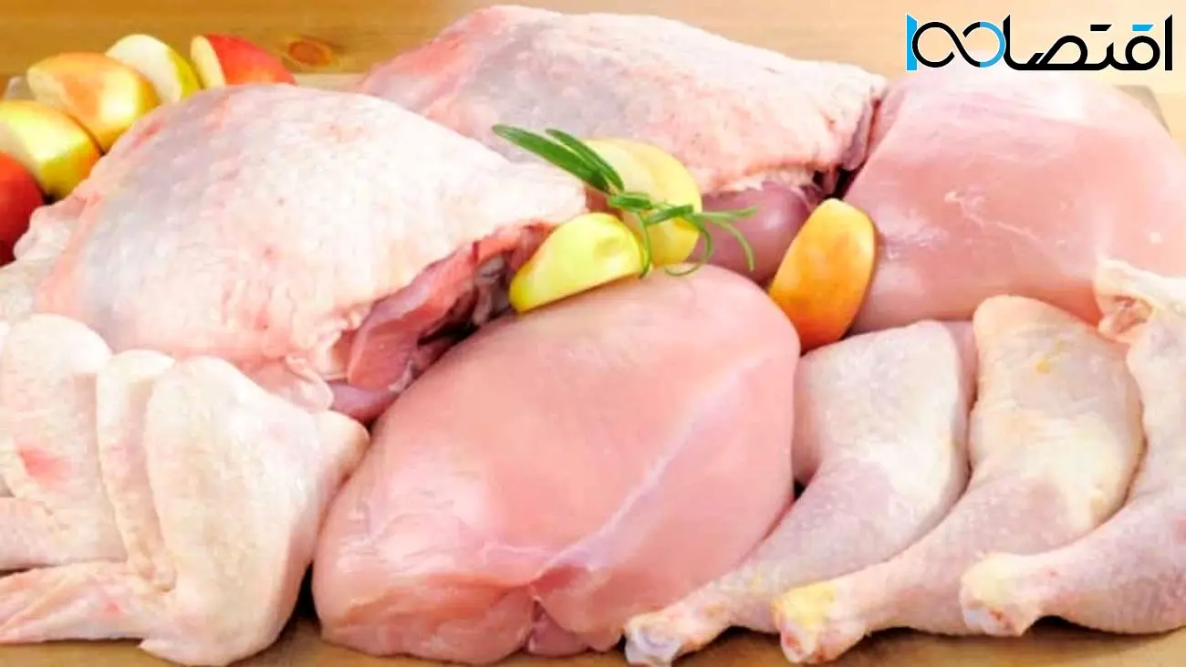مرغ در میادین میوه و تره بار ارزان تر از همه جا است / آلایش مرغ افزایش پیدا کرد !