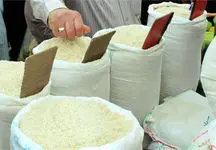 لیست قیمت برنج ایرانی  / برنج هاشمی کیلو چند؟