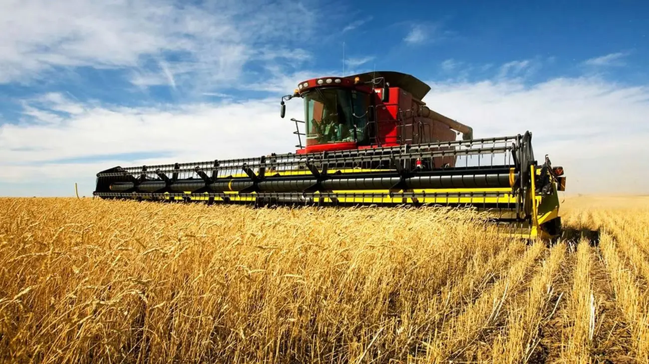 همکاری روسیه و آرژانتین در بخش کشاورزی