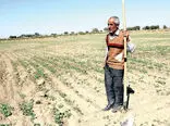 دولت رئیسی کام کشاورزان را تلخ کرد
