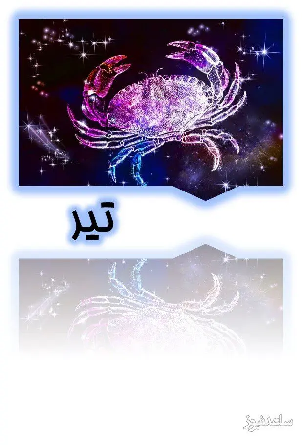 تیر