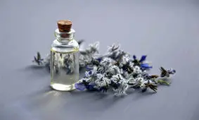 راهنمای خرید عطر مردانه برای فصل تابستان