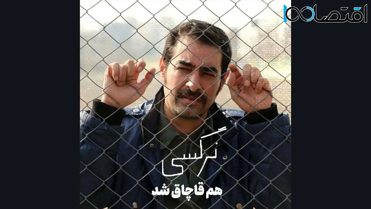 نسخه غیرقانونی فیلم جدید شهاب حسینی منتشر شد 