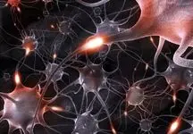 همه انواع ویروس کرونا مغز را آلوده می‌کنند