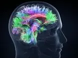 محققان با هوش مصنوعی، سیگنال‌های مغزی مرتبط با بهبود افسردگی را شناسایی کردند