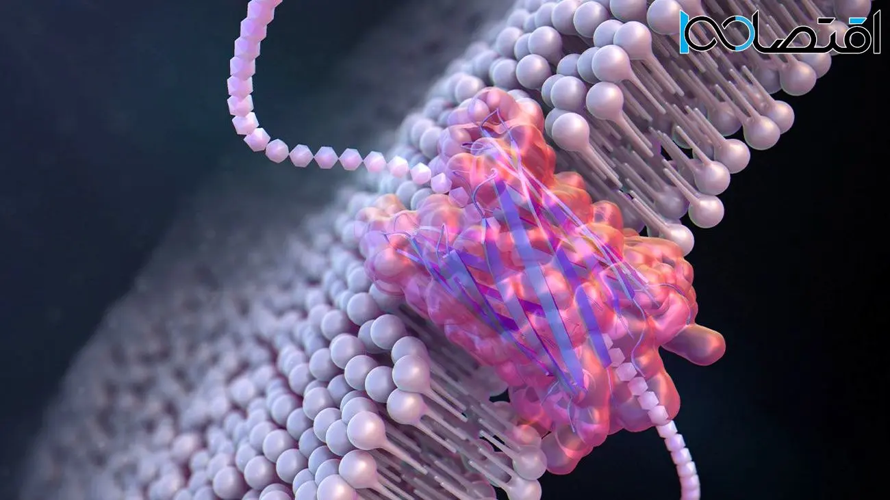 نانوحفره‌ها آنتی‌ژن‌های عامل سرطان را به دام می‌اندازند